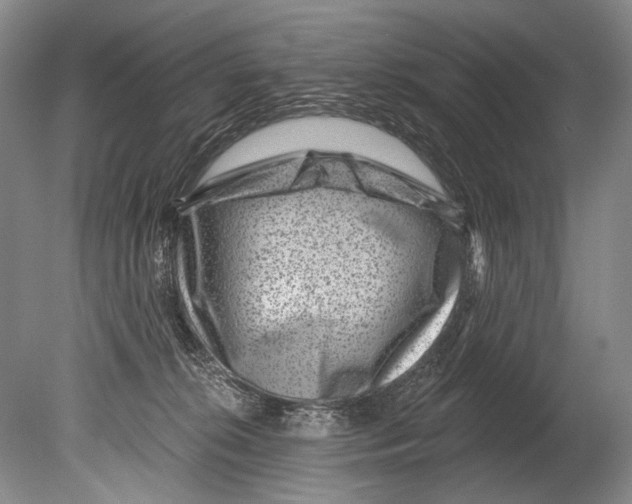 X0000080200276200612302345