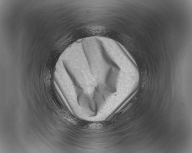 X0000080200279200612302345