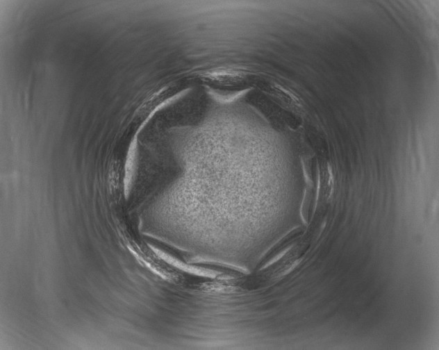 X0000080200284200612302345