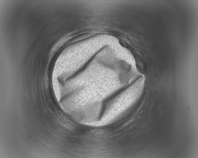 X0000080200294200612302345