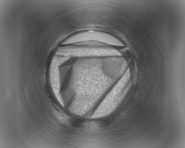 X0000080200299200612302345