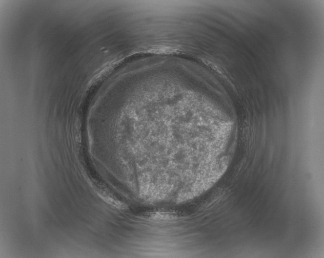 X0000080200303200612302345