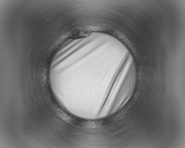 X0000080200305200612302344