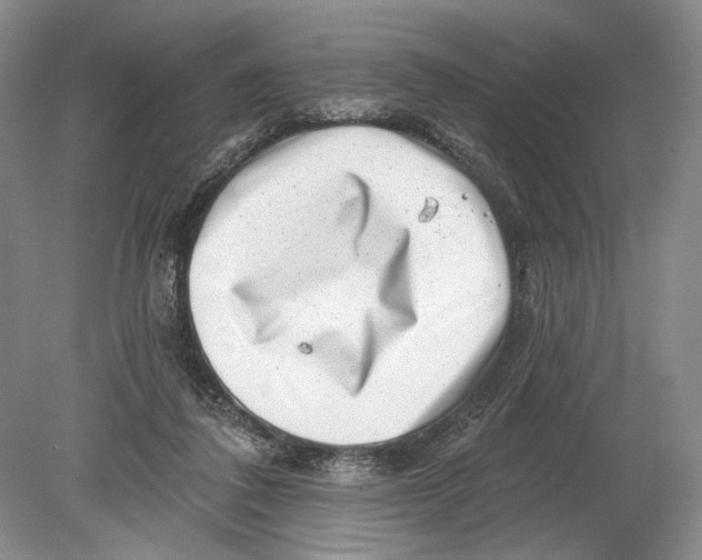 X0000080200308200612302344