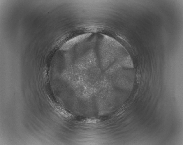 X0000080200314200612302344