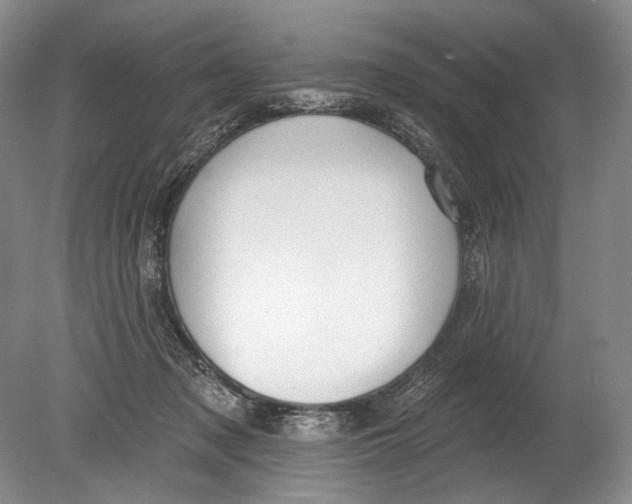 X0000080200317200612302344