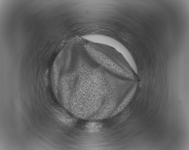 X0000080200319200612302344