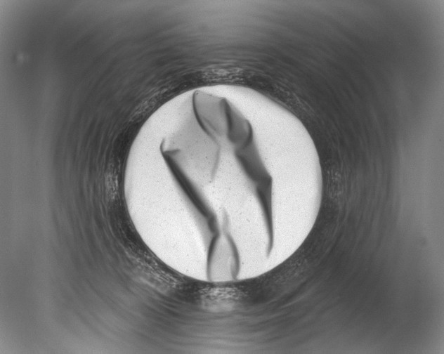 X0000080200324200612302344