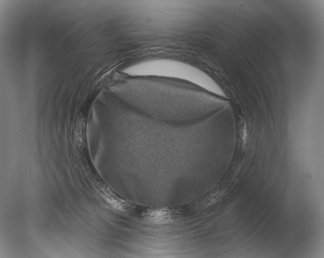 X0000080200325200612302344