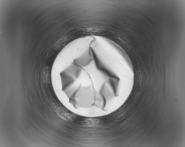 X0000080200328200612302344