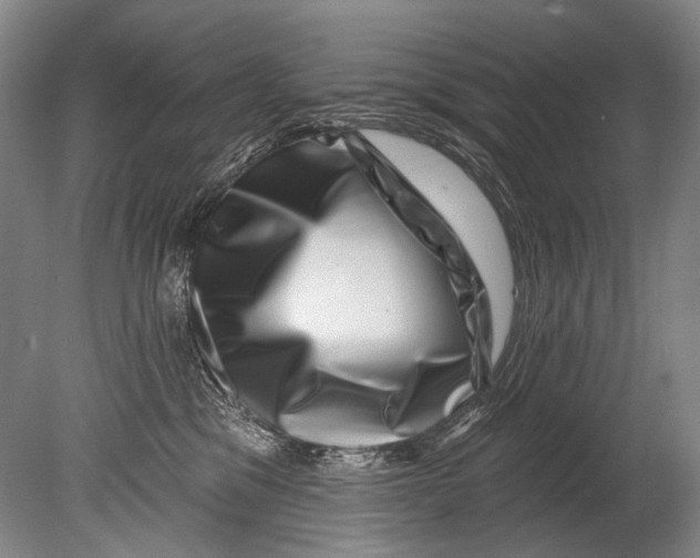 X0000080200329200612302344