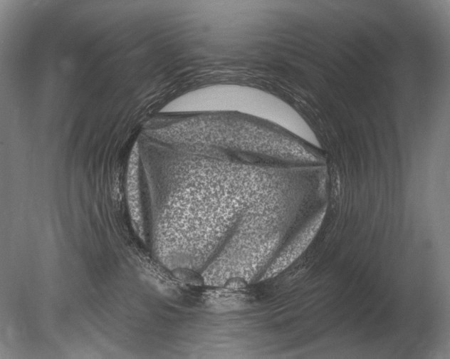 X0000080200331200612302344