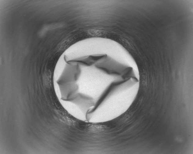 X0000080200332200612302344