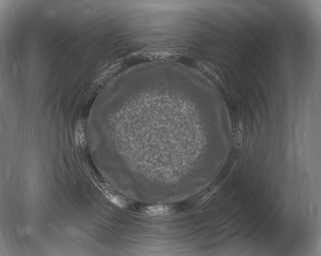 X0000080200335200612302344