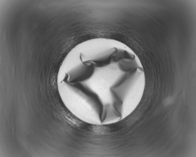 X0000080200336200612302344