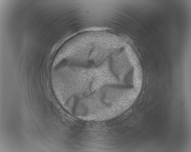 X0000080200337200612302343