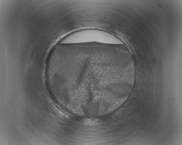 X0000080200346200612302343