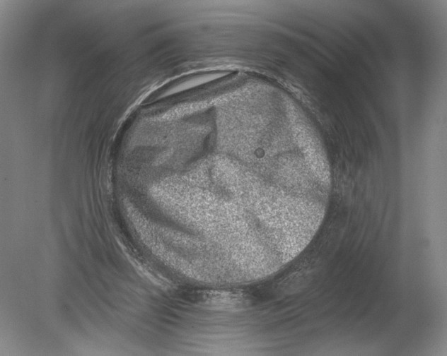 X0000080200347200612302343