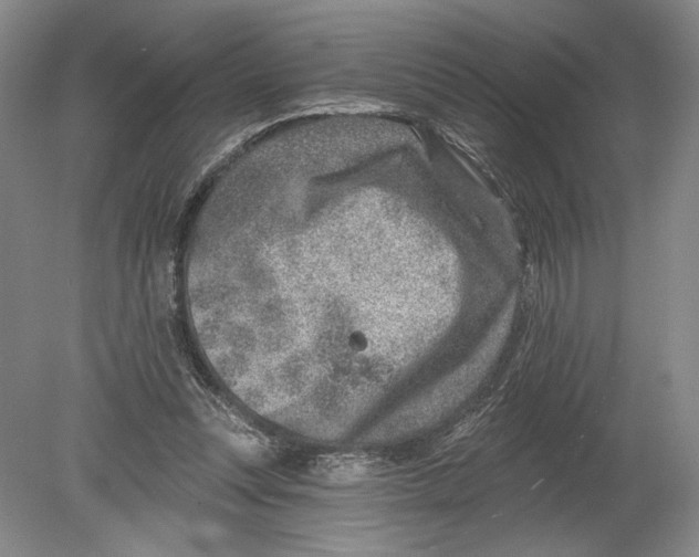 X0000080200351200612302343