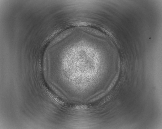 X0000080200353200612302343