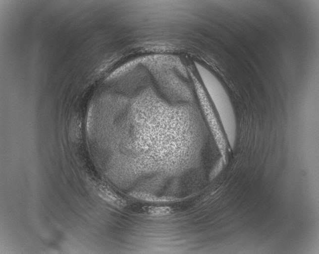 X0000080200355200612302343