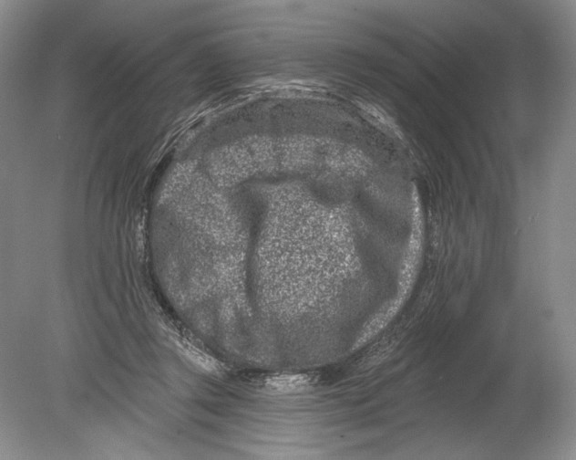 X0000080200357200612302343