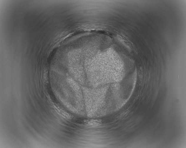 X0000080200359200612302344