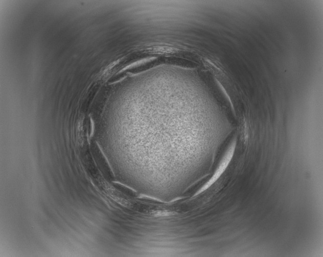 X0000080200360200612302344