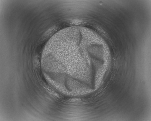 X0000080200361200612302344