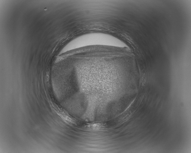 X0000080200365200612302344