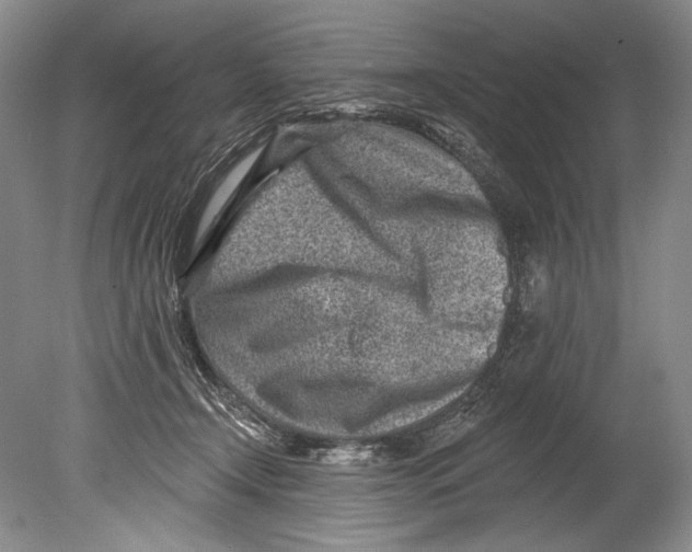 X0000080200366200612302344