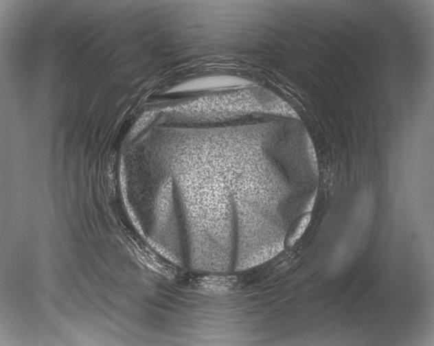 X0000080200373200612302344