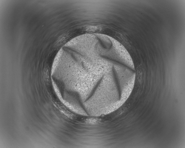 X0000080200375200612302344