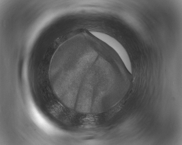 X0000080200383200612302344