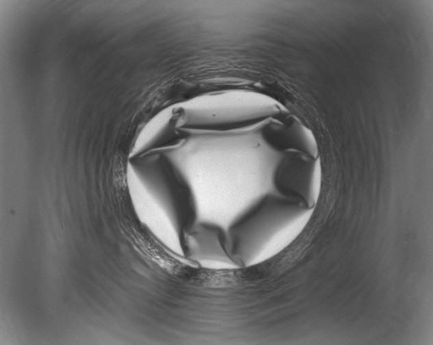 X0000080200384200612302344