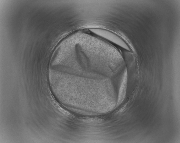 X0000080200385200612302343