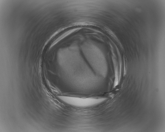 X0000080200387200612302343