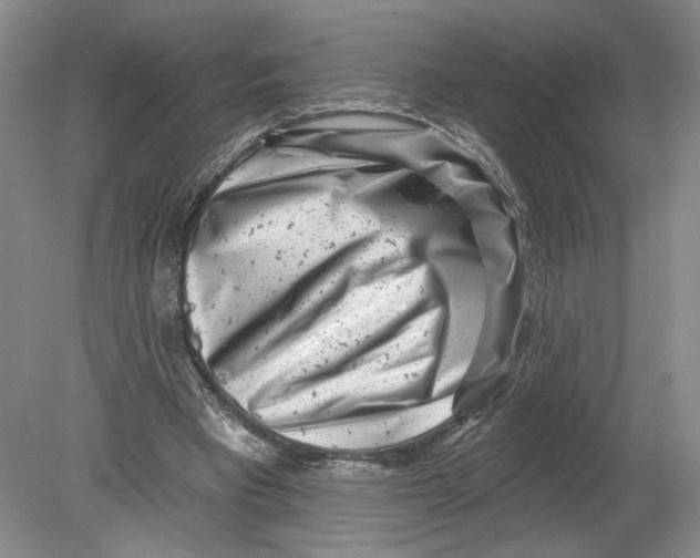 X0000080200393200612302343