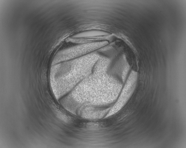 X0000080200394200612302343