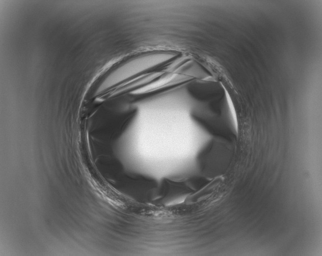 X0000080200395200612302343