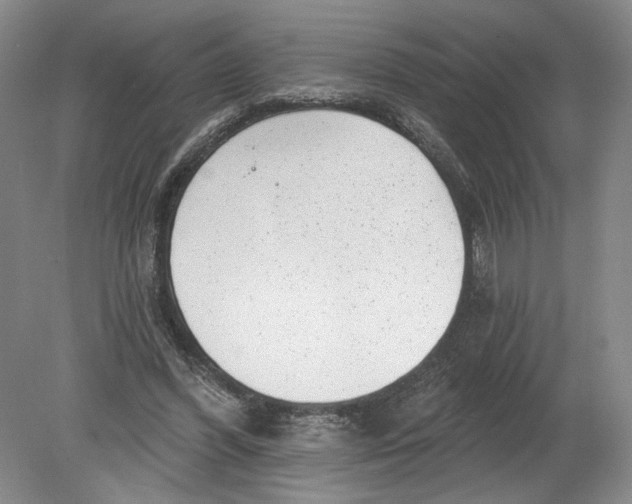 X0000080200396200612302343