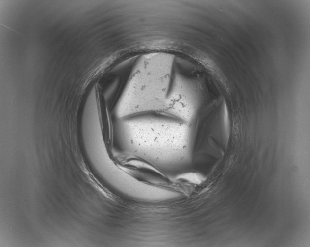 X0000080200397200612302343