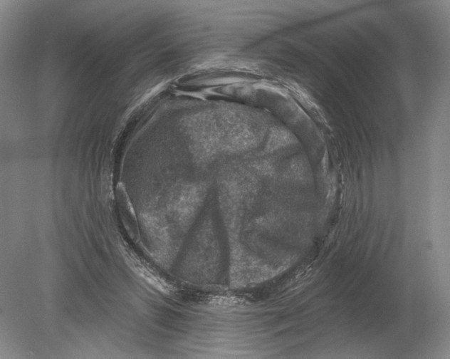 X0000080200399200612302343