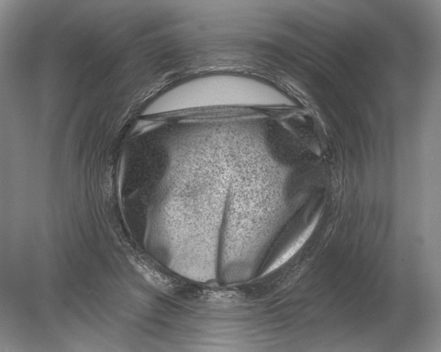 X0000080200401200612302343