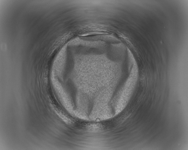 X0000080200402200612302343