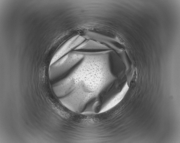 X0000080200404200612302343