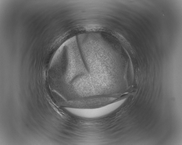 X0000080200405200612302343