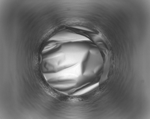 X0000080200407200612302343