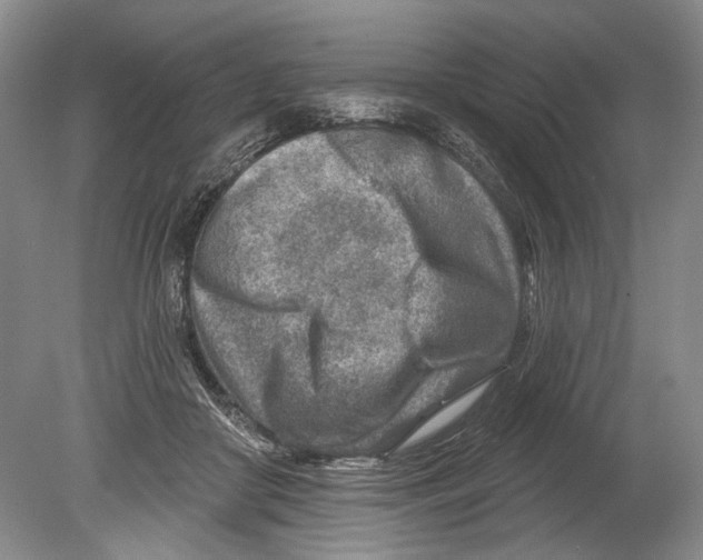 X0000080200410200612302343