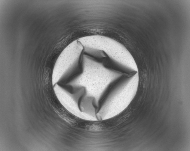 X0000080200412200612302343